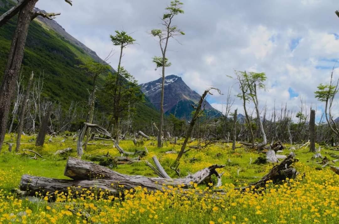 Cabanas Santa Montana Ushuaia Kültér fotó